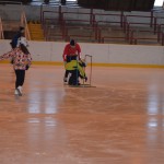 VT Sušice 3/2014 - 1. část