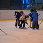 VT Sušice 3/2014 - 2. část