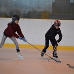 VT Sušice 3/2014 - 2. část