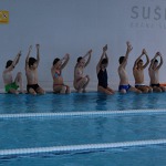 VT Sušice 11/2014