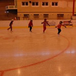 VT Sušice 11/2014
