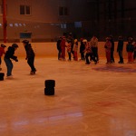 VT Sušice 11/2014