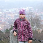 VT Sušice 11/2014